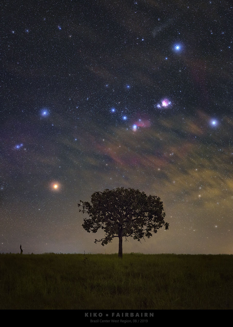 Über einer dunklen Silhouette mit Baum am Horizont türmt sich das markante Sternbild Orion auf, es liegt kopfüber auf der Seite.