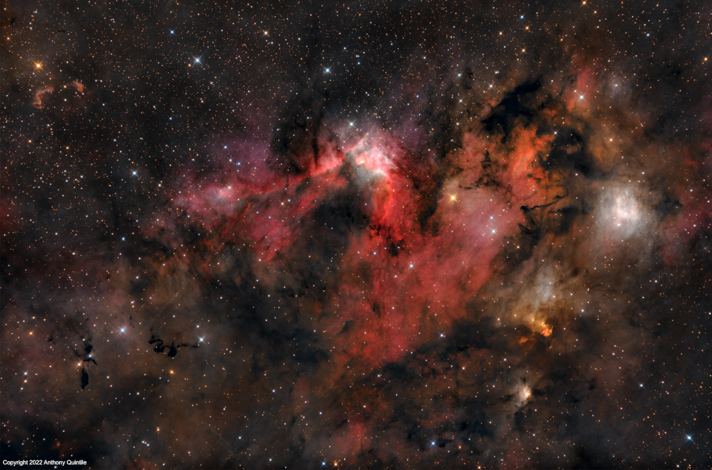 Das Bild zeigt den rötlichen Höhlennebel am Rand der Molekülwolke im Sternbild Kepheus.
