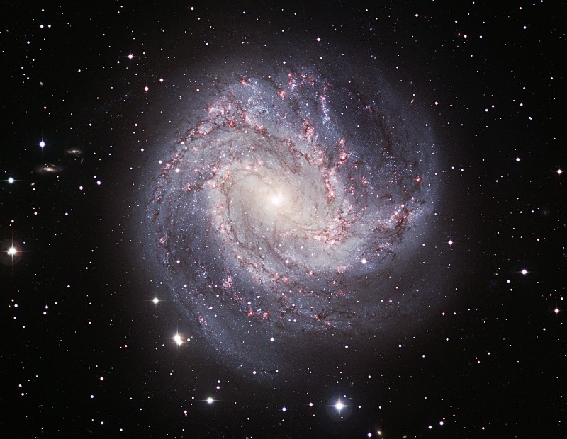 Das Bild zeigt die Spiralgalaxie M83 mit vielen Sternbildungsregionen, die leicht zerrauft wirkt.