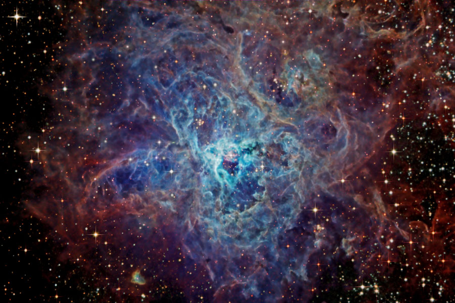 In Sterne eingebettet ist ein blau gefaserter Nebel, der an eine komplexe Blume erinnert.