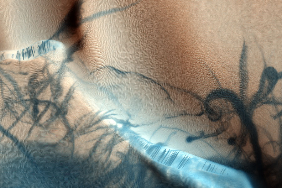 Das Bild zeigt die rötlichbraune Marsoberfläche, auf der dunkle Spuren zu sehen sind. Sie stammen von Staubteufeln, welche den oberflächlichen hellen Staub abgetragen haben.