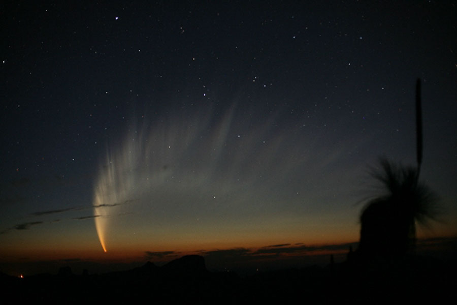 Über dem Horizont fächert sich der riesige Schweif des Kometen McNaught auf, rechts steht eine Person, die als Silhouette zu sehen ist.