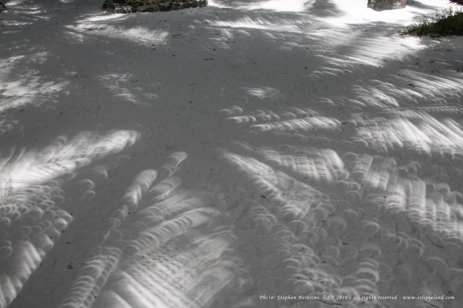 Durch die Lücken der Palmwedel, die einen Schatten auf den Boden wirft, leuchtet die Sonne. Jede Lücke wirkt wie eine kleine Kamers, daher sind die Sonnenflecken, die normalerweise rund sind, während der Sonnenfinsternis sichelförmig.
