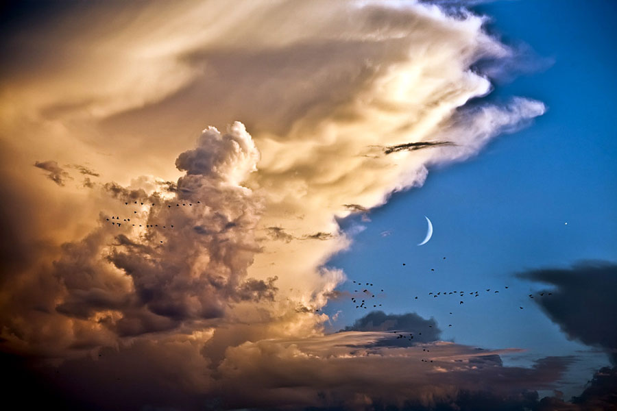 Rechts neben einer hoch aufgetürmten Gewitterwolke leuchtet ein Sichelmond am blauen Himmel, rechts daneben die Venus, darunter zieht ein Schwarm Vögel.