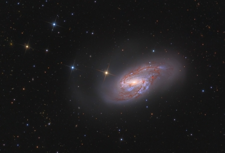 Zwischen wenigen Sternen schwebt eine wild strukturierte Spiralgalaxie im Raum, sie wirkt außen wolkig, entlang von Spiralarmen verlaufen stark strukturierte Staubbahnen und blaue Sternhaufen. Das Zentrum leuchtet orangegelb.