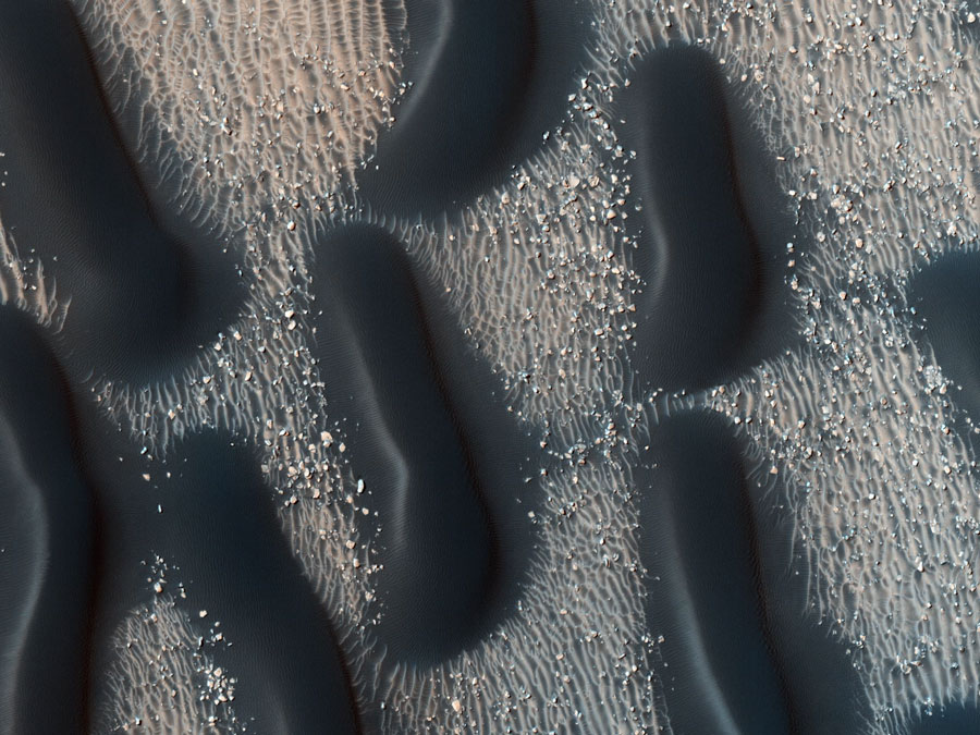 Auf einer gestreift-strukturierten Oberfläche zeichnen sich dunkle Gebilde ab, die an Bakterien erinnern. Es sind jedoch Sanddünen aus dunklem Material auf der Marsoberfläche 