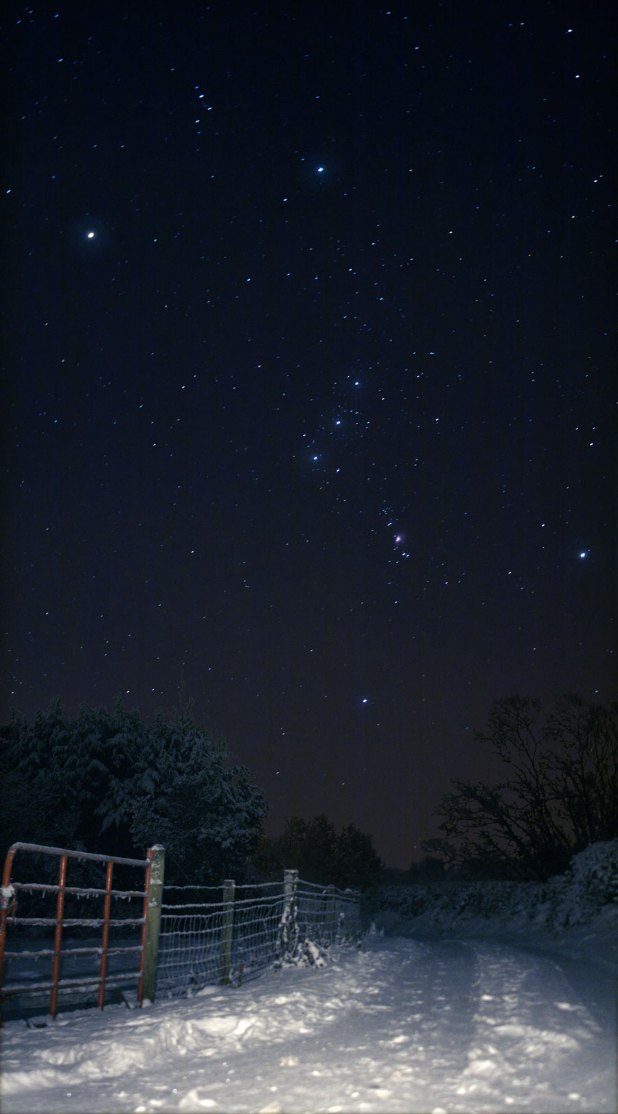 Der verschneite Weg im Bild ist kurz beleuchtet, links neben dem Weg ist ein Zaun. Dahinter erhebt sich am dunklen Himmel das Sternbild Orion mit den Gürtelsternen und dem Schwert.