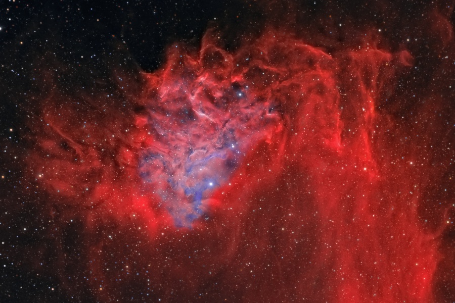 Das detailreiche Bild zeigt die lodernden Fasern des roten Flammensternnebels. In der Mitte leuchtet der Nebel bläulich, dort befindet sich der Stern IC 405, der den Nebel beleuchtet.