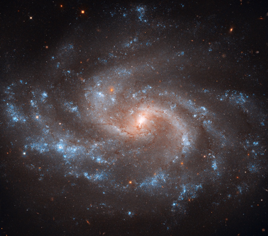 Bildfüllend ist eine Spiralgalaxie mit losen, zerfledderten Spiralarmen abgebildet, in denen sich Büschel aus blauen jungen Sternhaufen befinden. Das Zentrum in der Mitte wirkt relativ klein.