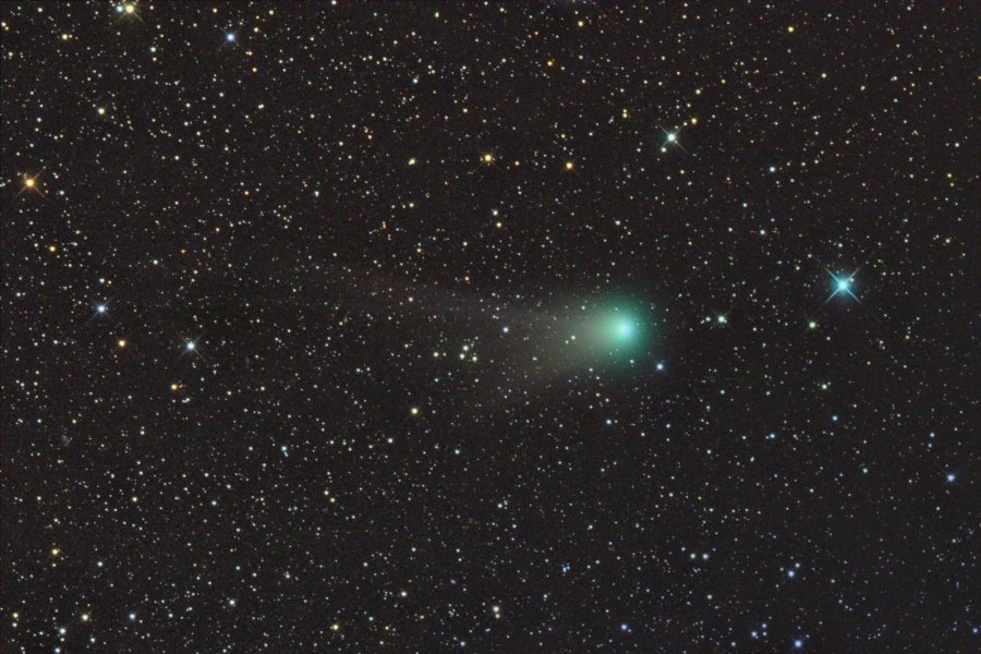 Vor einem zart bestückten Sternenfeld zeigt der Komet Garradd seine grünliche Koma und einen kleinen Schweif, der nach links zeigt.