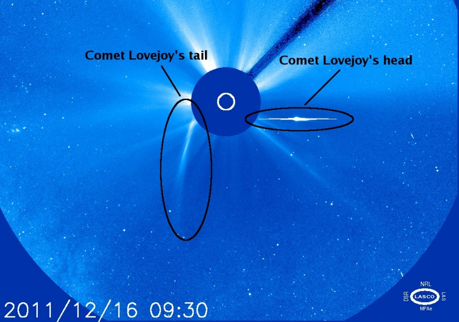 In der Mitte des blau gehaltenen Bildes ist eine blaue Scheibe, die die Sonne verdeckt. Die Größe der Sonne ist mit einem Kreis markiert. Außerhalb strömen helle Strahlen aus, links ist ein schräger weißer Streifen, der abgetrennte Schweif des Kometen Lovejoy (C/2011 W3) in einem schwarzen Oval. Rechts ist ein sehr heller Punkt mit Streifen links und rechts, es ist der Kopf des Kometen Lovejoy in einer schwarzen Ellipse.