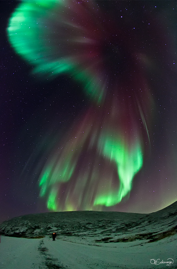 Über einer verschneiten Nachtlandschaft breitet sich ein riesiger Polarlichtschleier aus.
