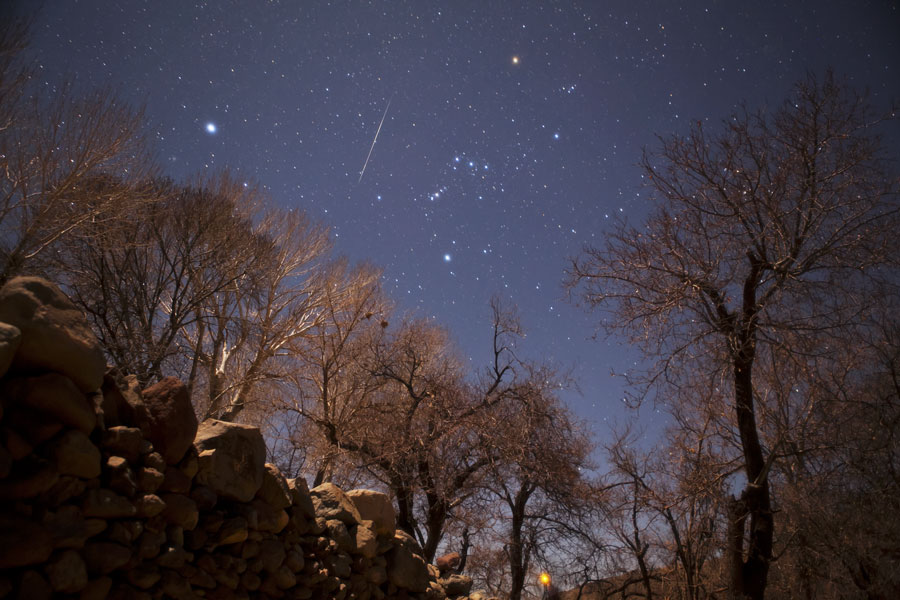 Am Winterhimmel über kahlen Bäumen leuchtet das Sternbild Orion, links daneben Sirius, dazwischen blitzt ein Meteor.