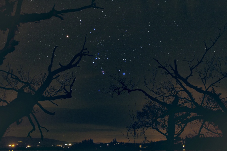 Hinter den kahlen Zweigen von Bäumen leuchtet das Sternbild Orion, es steht schräg am Himmel. Unten leuchten einige Lichter einer Siedlung.