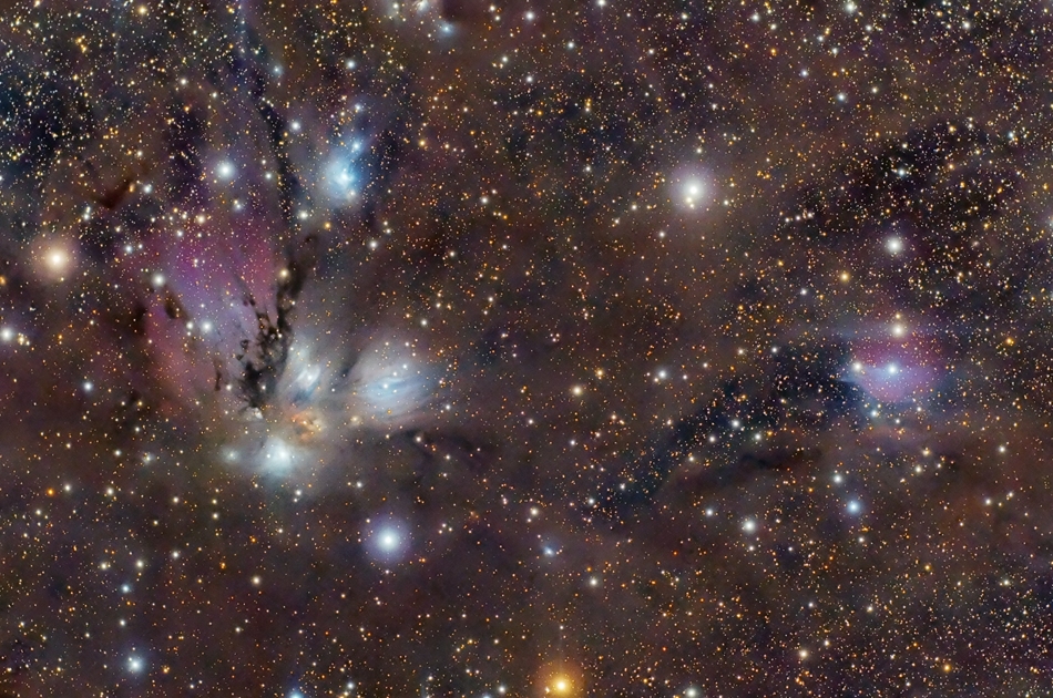 Das Bildfeld ist dicht mit Sternen und Nebeln gefüllt, einige Teile der Nebel sind von Sternen beleuchtet, andere sind dunkel und an ihrer bräunlichen Farbe erkennbar.