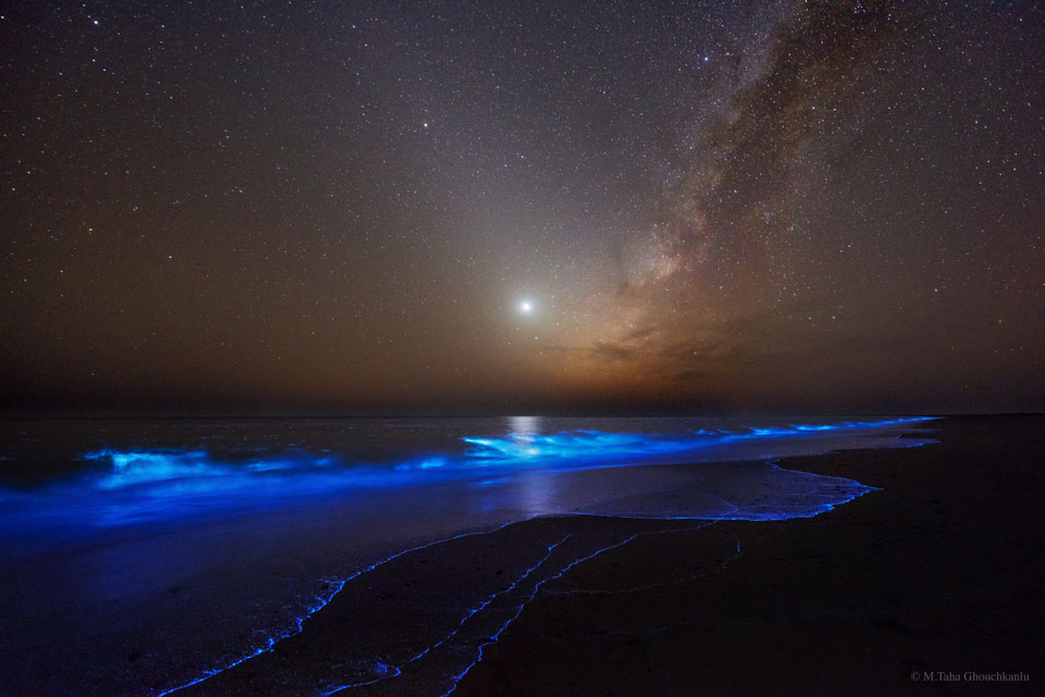 Die Wellen an diesem Strand leuchten blau, dahinter reicht das Meer bis zum Horizont. In der Mitte leuchtet der Planet Venus, links daneben steigt die Milchstraße auf, nach rechts das Zodiakallicht.
