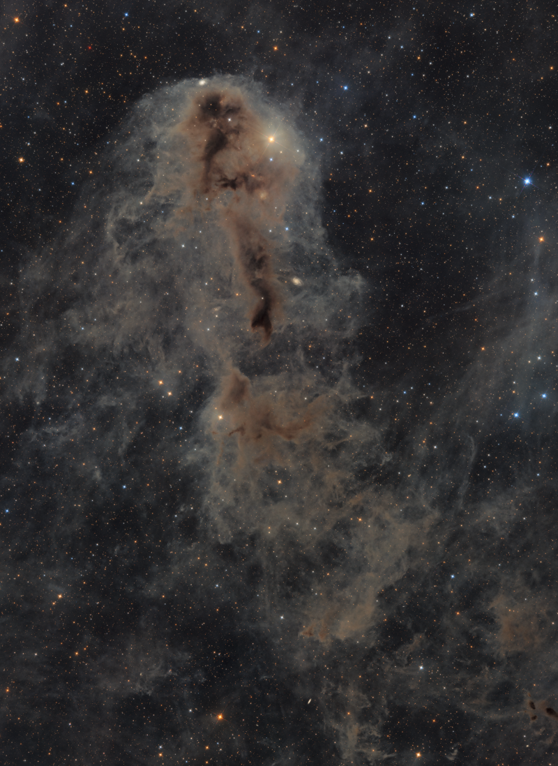 Eine Staubwolke zeichnet sich graubraun vor dem dunklen Hintergrund ab, in der Mitte ist sie kompakt und dunkel. In ihrem Inneren entstehen Sterne.