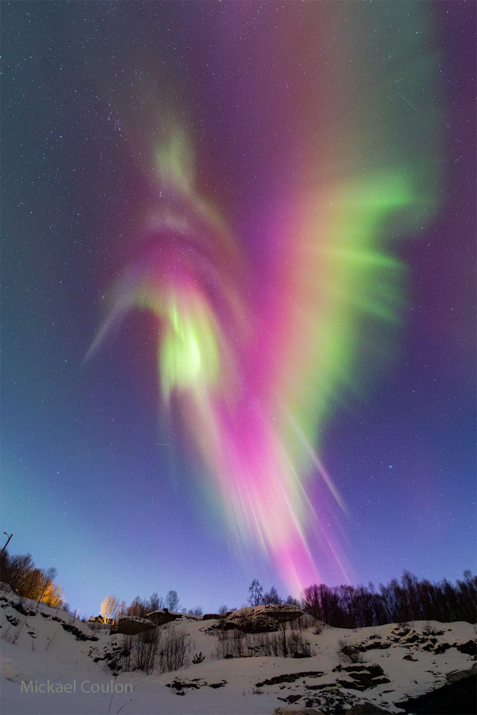 Foto des noch dunkelblauen Dämmerhimmels nach Sonnenuntergang im Hochformat. Im Vordergrund ist ein schneebdeckter, felsiger Hang mit einigen Bäumen. Am Himmel steht ein rotes und grünes Polarlicht, dessen Form an einen Kolibri erinnert.