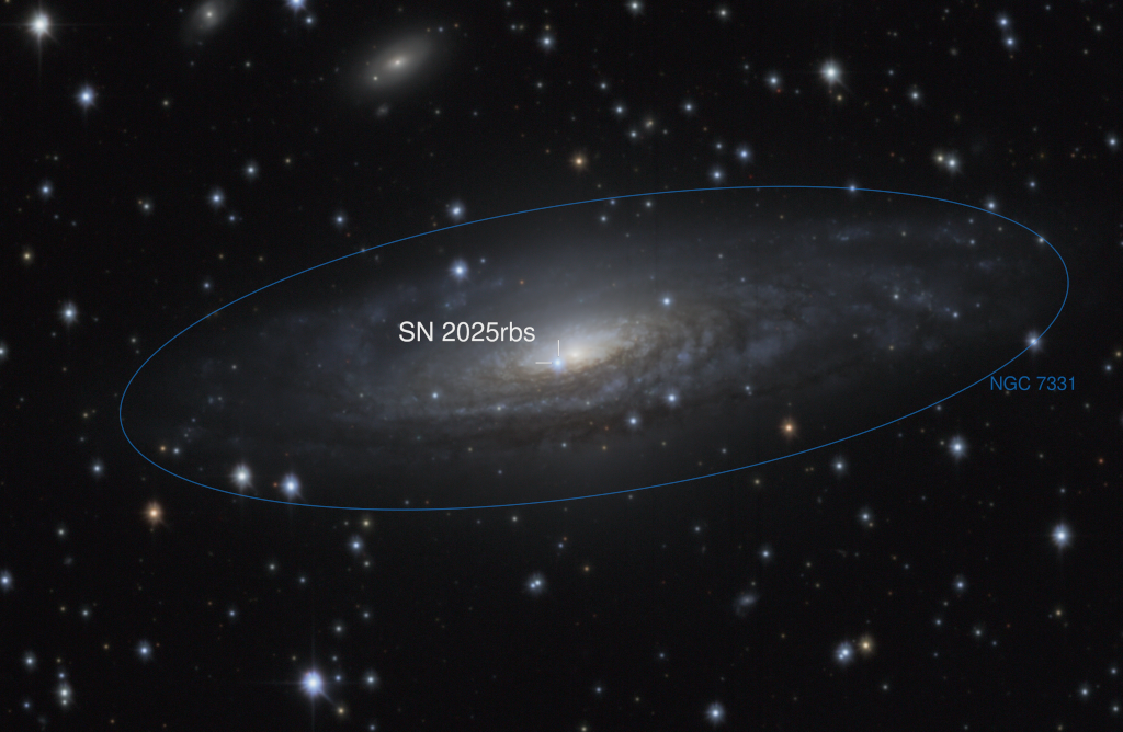 In der Spiralgalaxie NGC 7331 explodierte die Supernova 2025rbs. Sie ist im Bild markiert. Man findet sie nahe beim hellen Zentrum der Galaxie. Auch der Außenrand der Spiralgalaxie ist markiert.