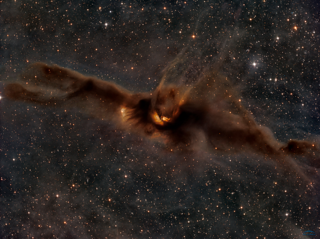 Vor den Sternen der Milchstraße fliegt eine kosmische Fledermaus im Sternbild Schlangenträger. Sie scheint von innen heraus zu leuchten. Die Astronomin Beverly Lynds katalogisierte sie als LDN 43.