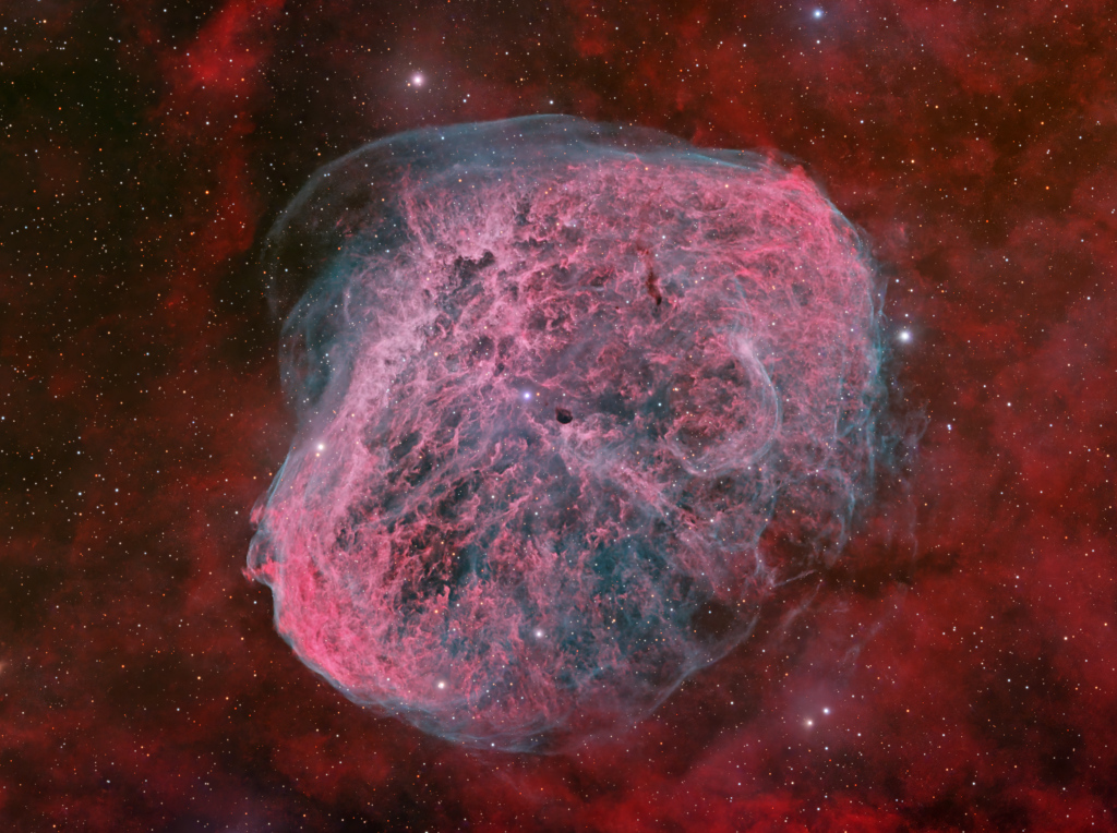 Der Sichelnebel (NGC 6888) wurde von einem Wolf-Rayet-Stern aufgebläht. Im Bild hat er eine komplexe rosarote Struktur, die von bläulichen Schleiern umgeben ist.