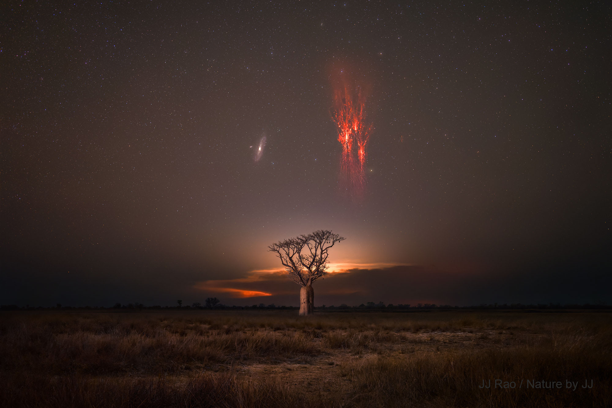 Hinter einem Affenbrotbaum tobt ein Gewitter, man sieht sein Leuchten hinter einer Wolke am Horizont. Rechts über dem Baum zuckt ein riesiger Roter Kobold, links daneben leuchtet die Andromedagalaxie M31. Der Himmel darüber ist sternklar.