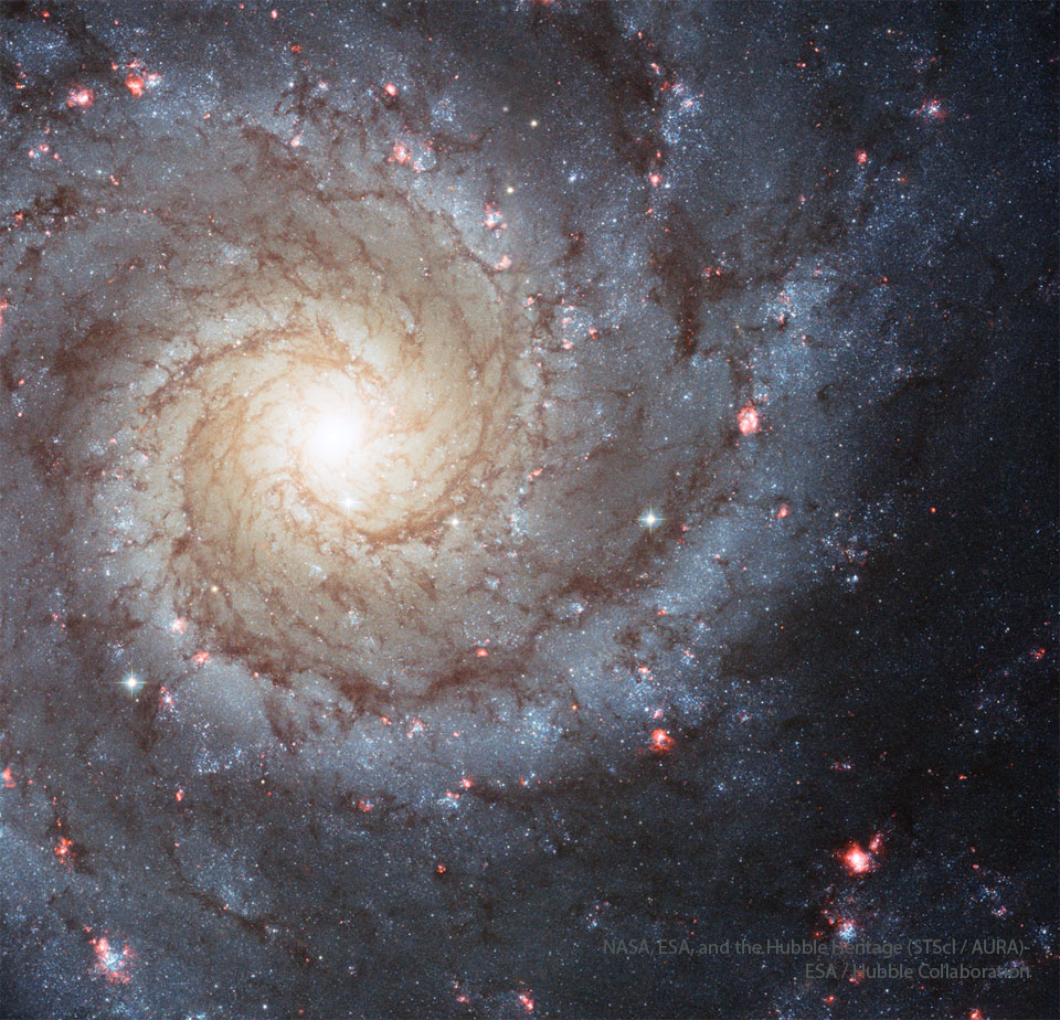 Ausschnitt einer Spiralgalaxie, die direkt von oben auf die Ebene fotografiert ist. Links der Mitte der Kernbereich, von dem zwei helle Spiralarme abgehen. In den Armen leuchten dunkle Staubstreifen, bläuliche Sternhaufen und rote Wasserstoffwolken.